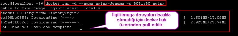 NGINX image'ının katman katman indirilmesi